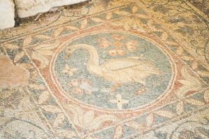 мозаика лебедя в древней христианской базилике в античном городе Соли